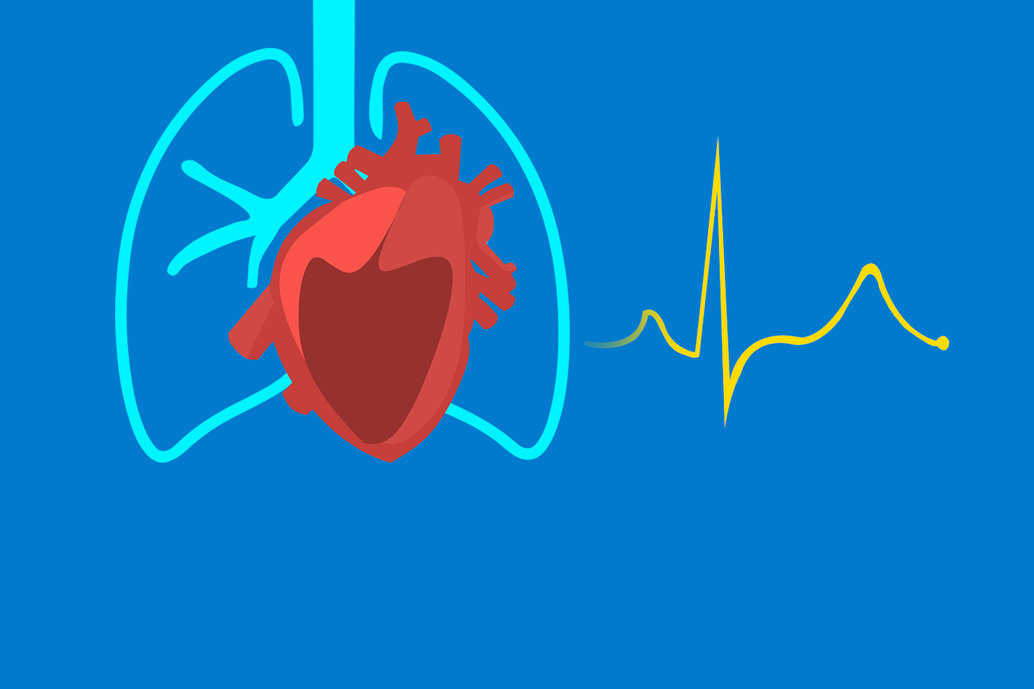 Hjerte- og lungefysiologi HL22